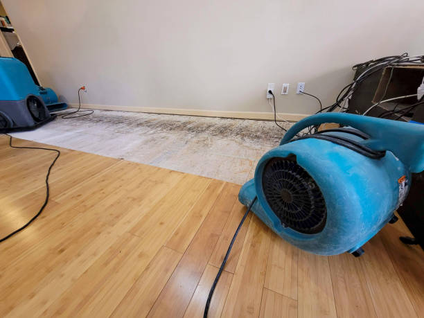 Professional Emergency Water Damage technician working in Lee, IL